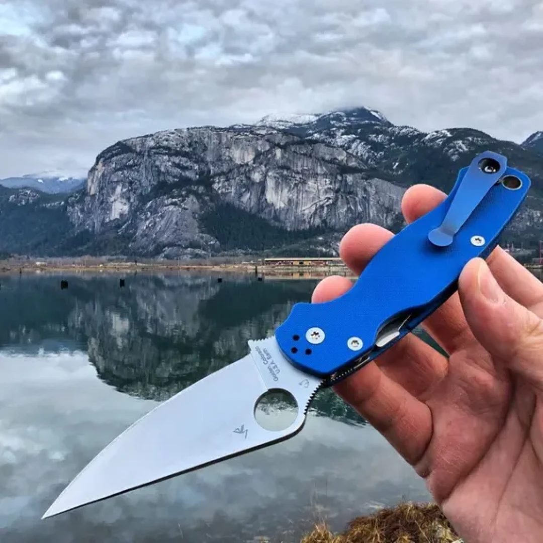 蜘蛛Spyderco C81对比C101折刀有什么区别?