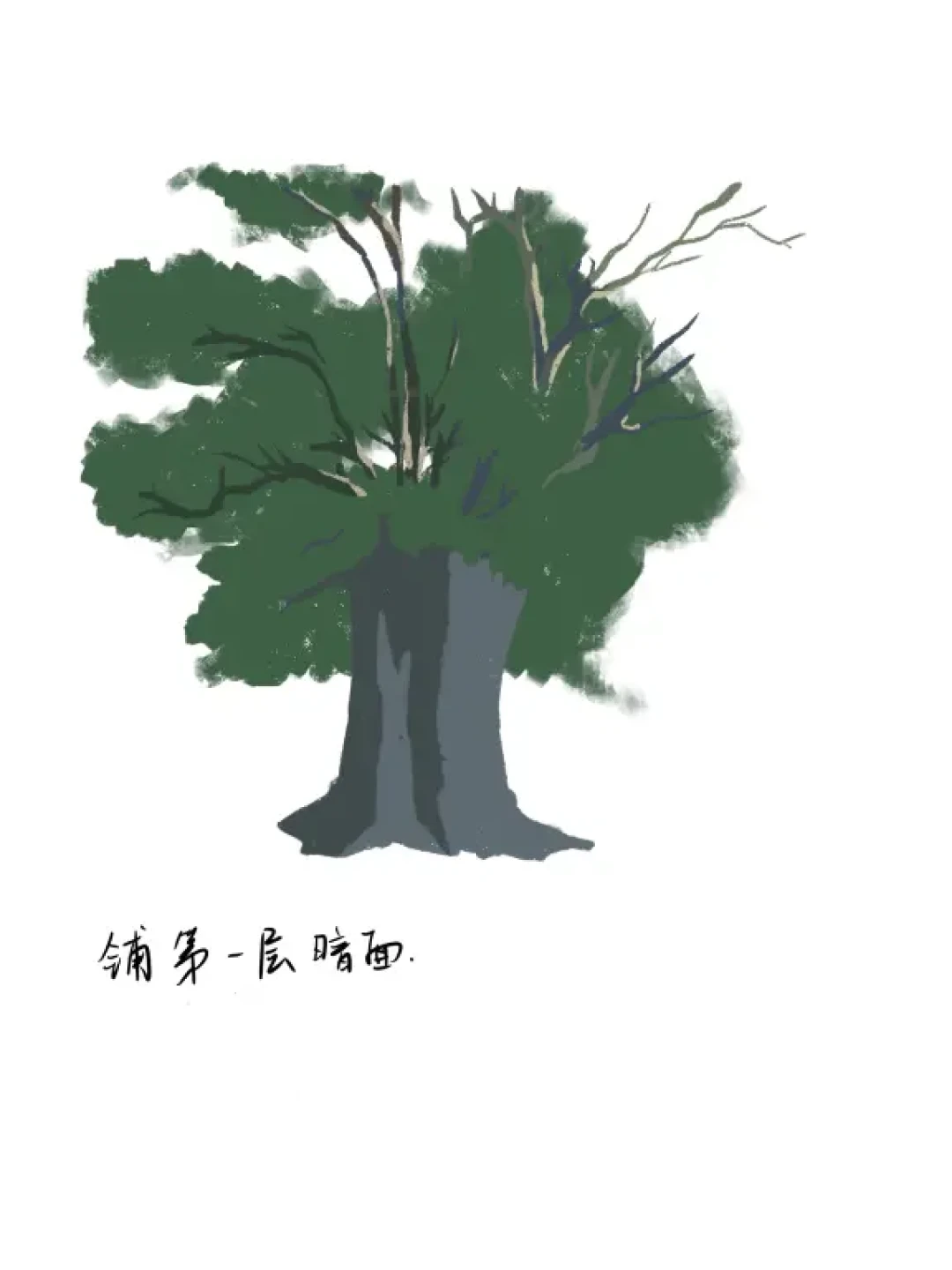 Procreate色块练习!我不信看完还不会画🌲