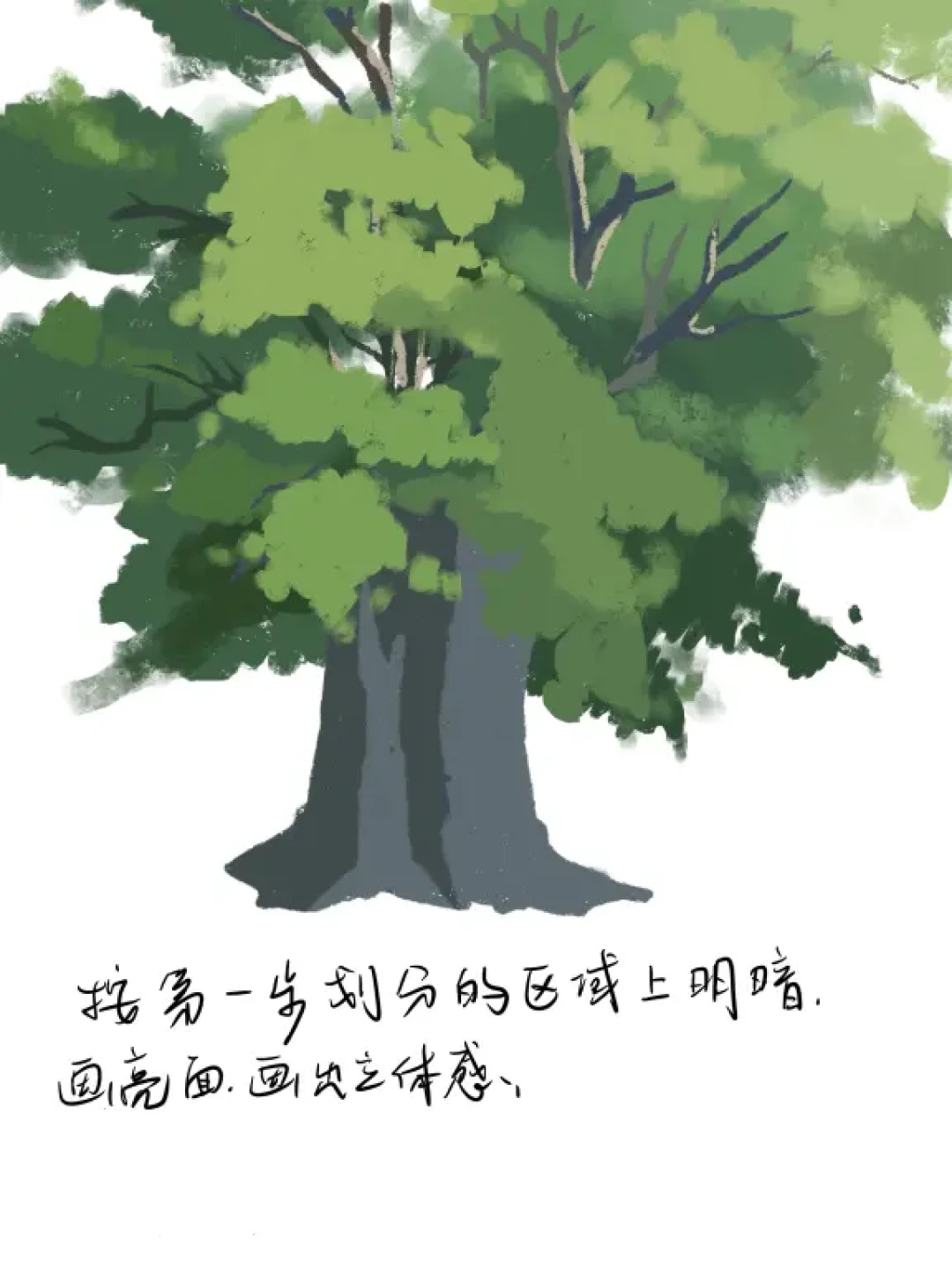 Procreate色块练习!我不信看完还不会画🌲