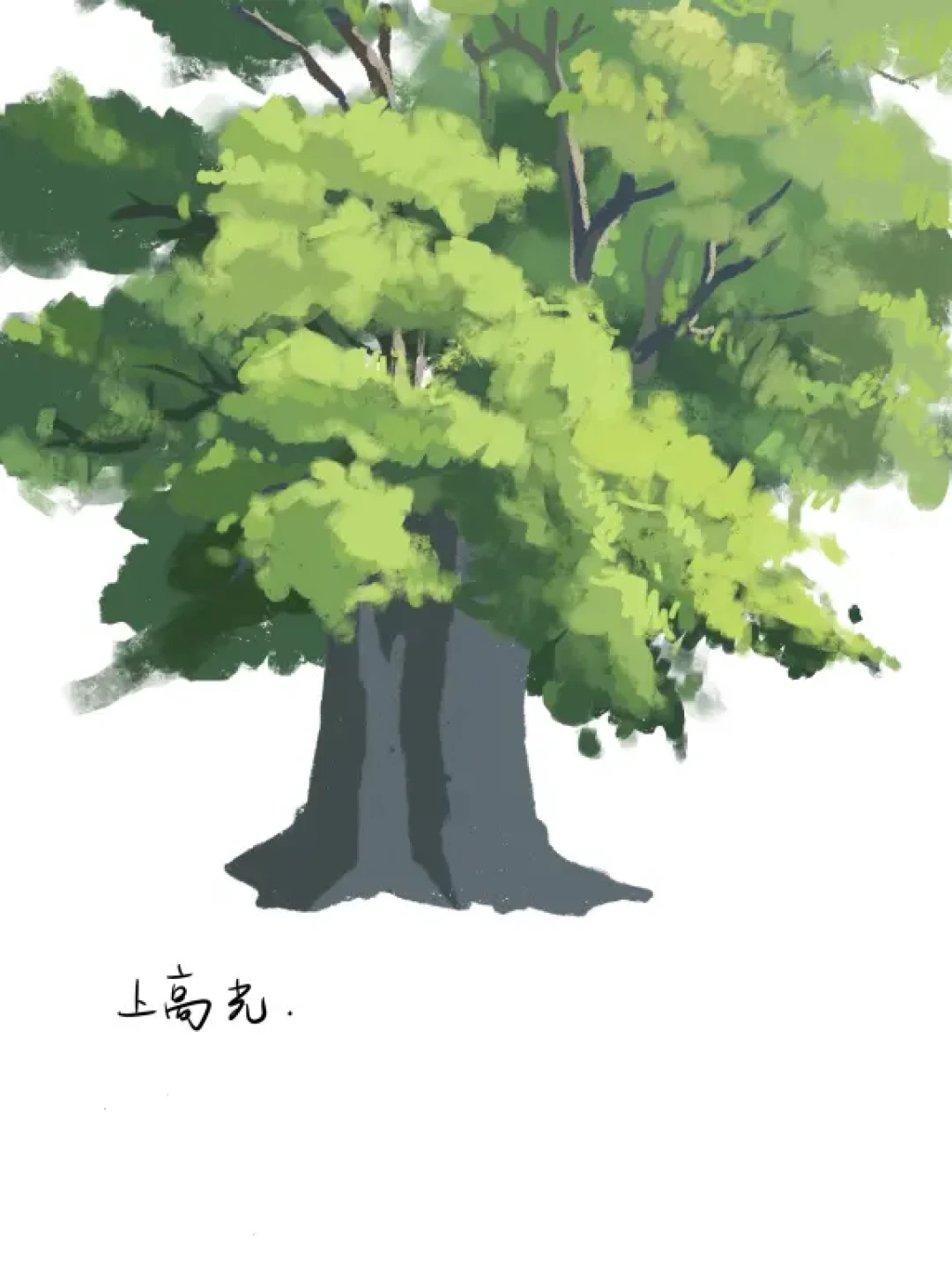 Procreate色块练习!我不信看完还不会画🌲