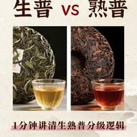 一篇笔记讲清楚:普洱茶分级(特级到十级)