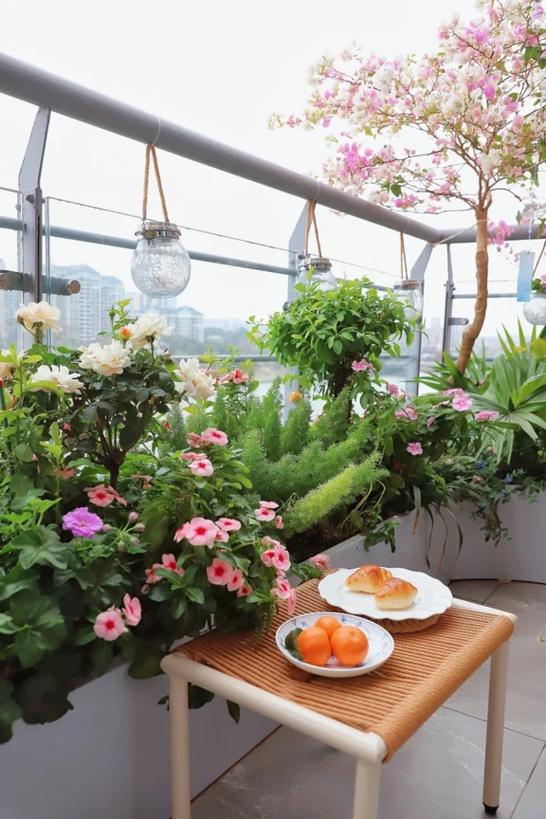 3步搞定6㎡阳台花园!冬天也能开满花🌺