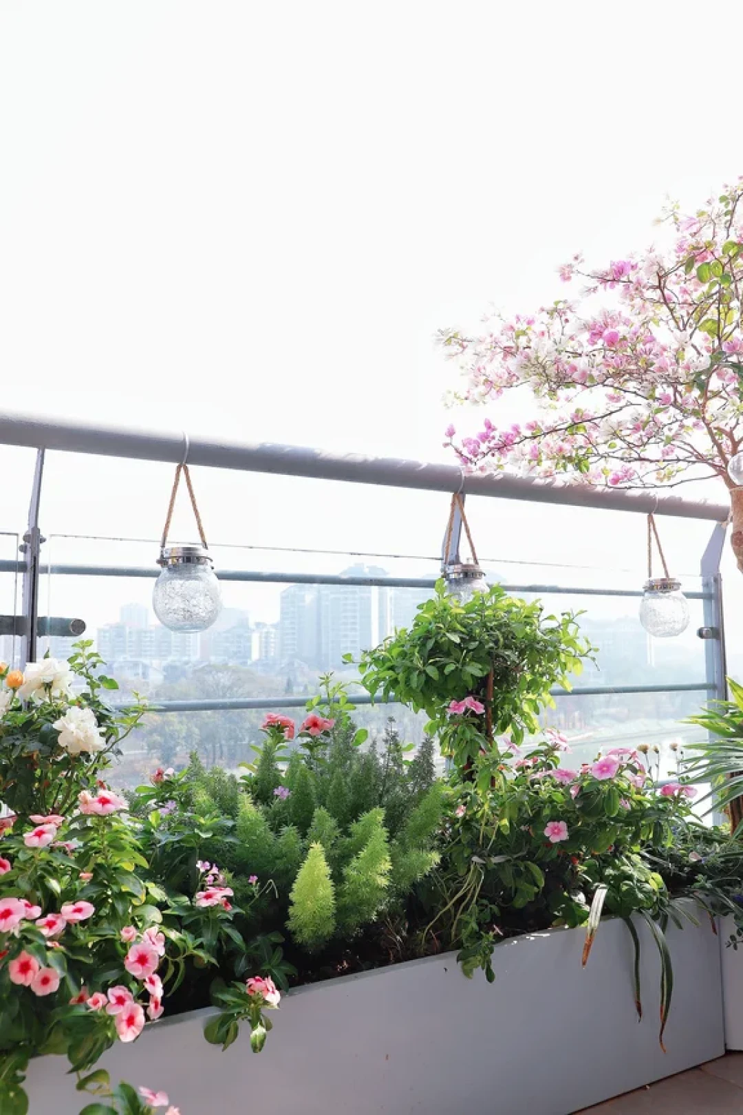 3步搞定6㎡阳台花园!冬天也能开满花🌺
