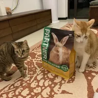 多猫家庭一定要试一下帕特猫粮