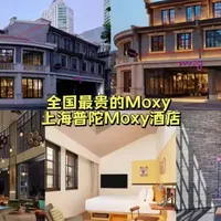 全国最贵的Moxy——上海普陀Moxy酒店#酒店 #Moxy #Moxy酒店 #旅行 #万豪