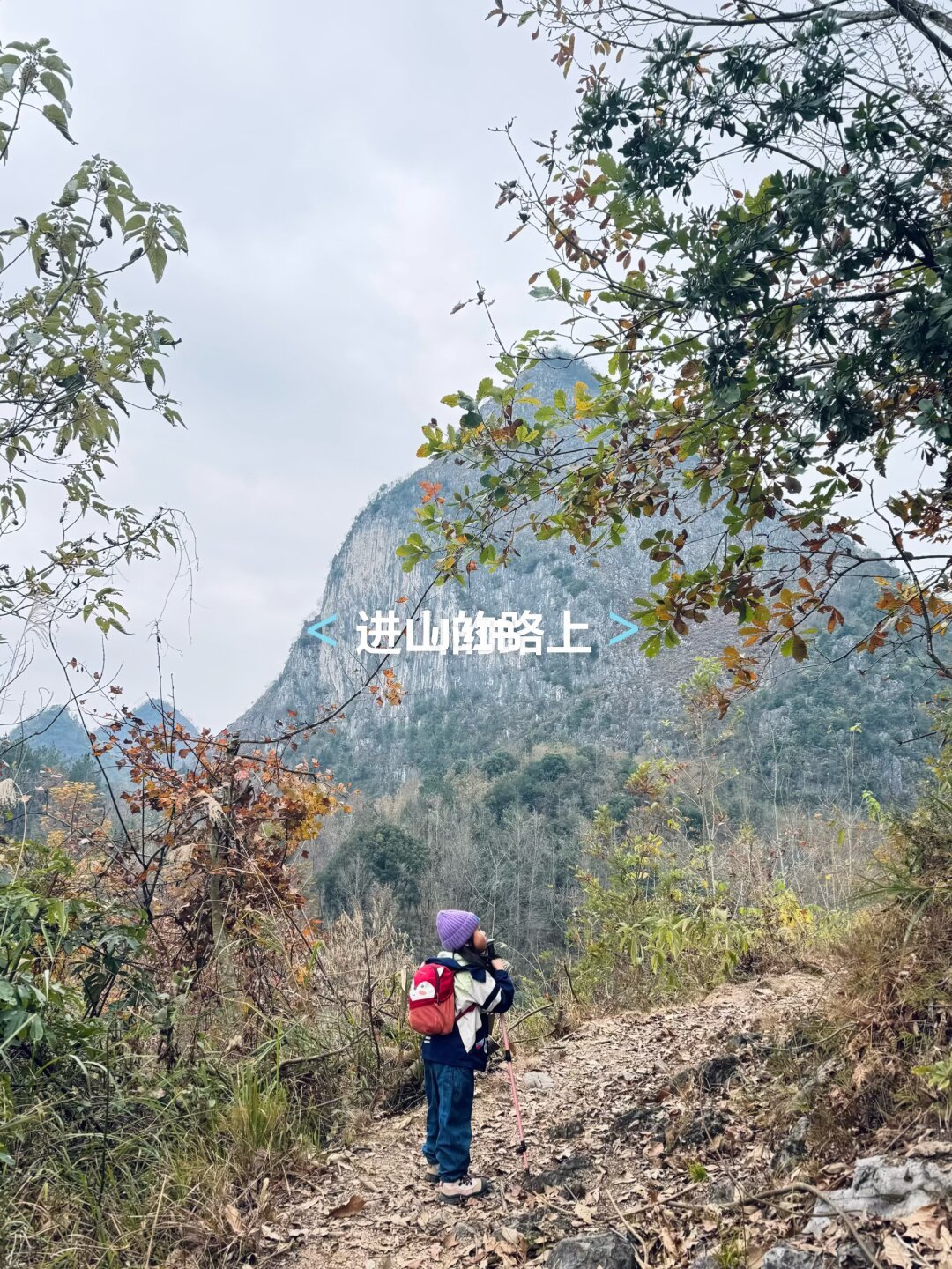 坚持爬了四年的山 终于换她来溜我了😂