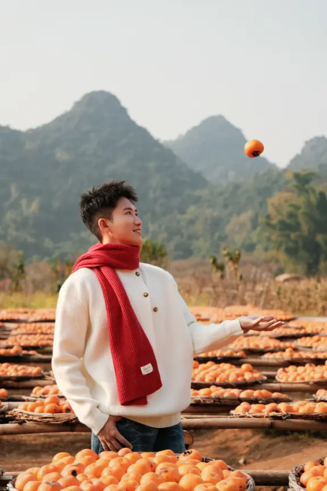 闯入广西恭城的“红灯笼”童话乡（附地图）
