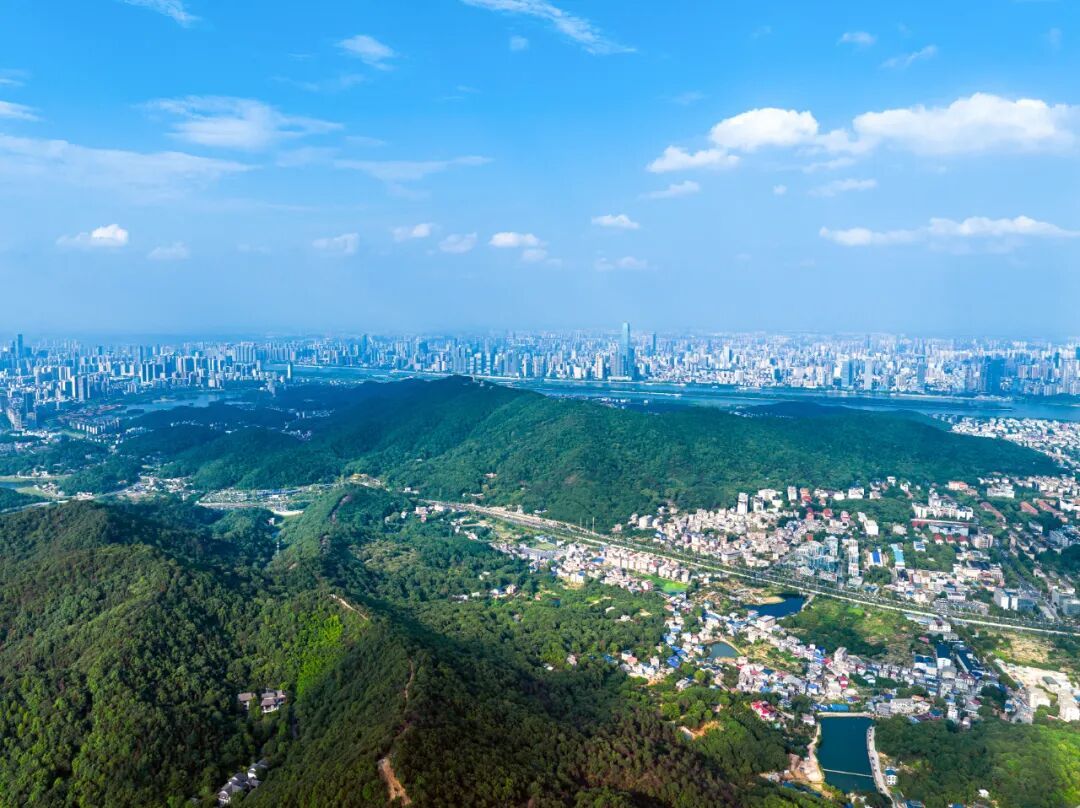 王丽君:大河西新传(报告文学)丨文艺云视听