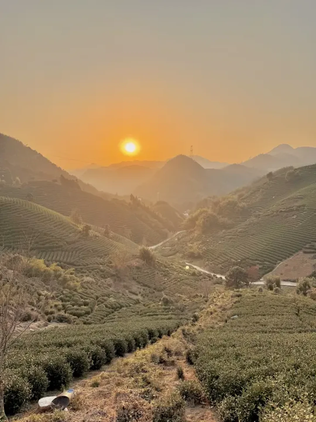 迄今为止,带娃爬过杭州最宝藏的山‼️