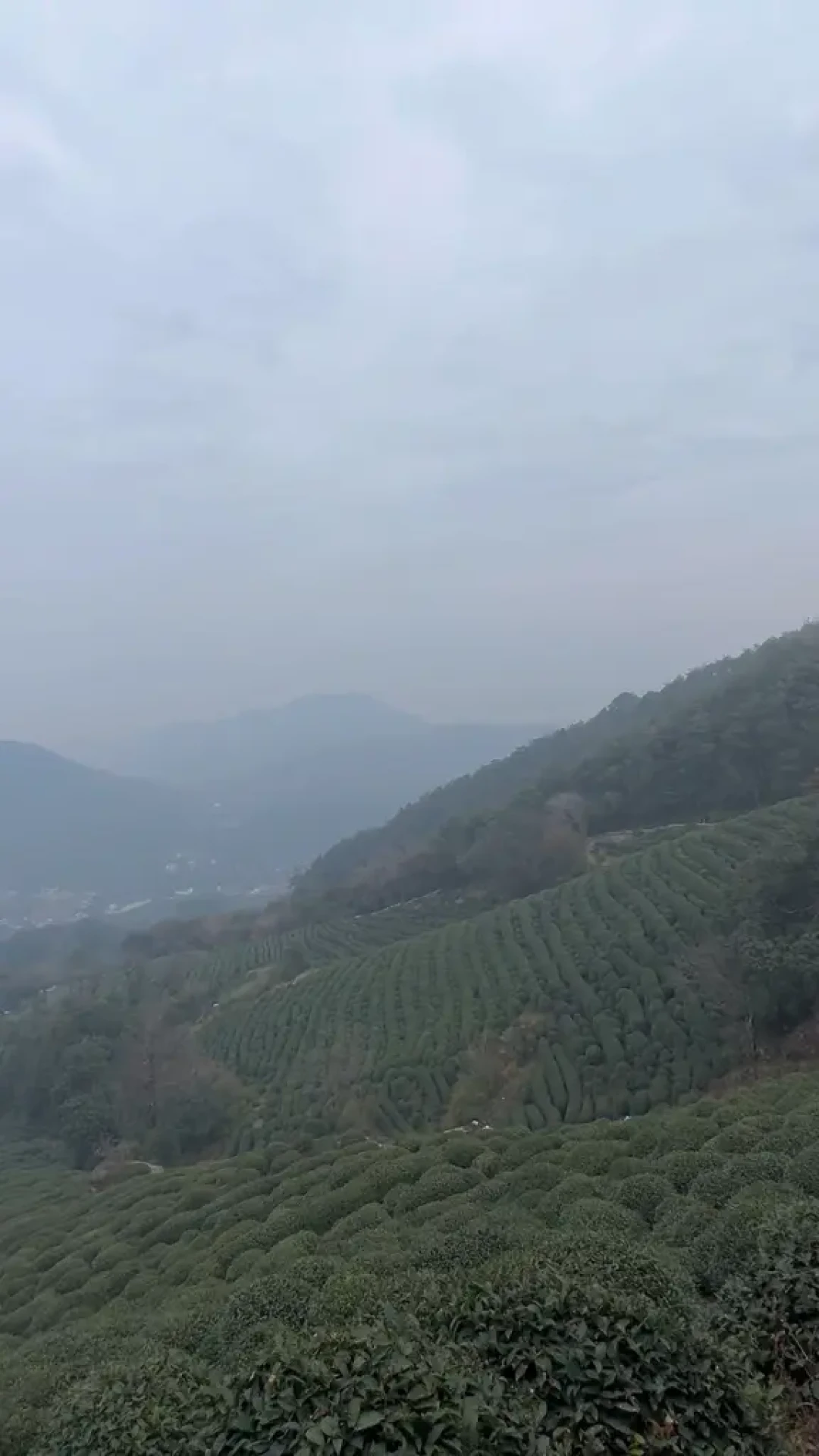 手脚并用爬完1200米,才懂杭州山野的浪漫