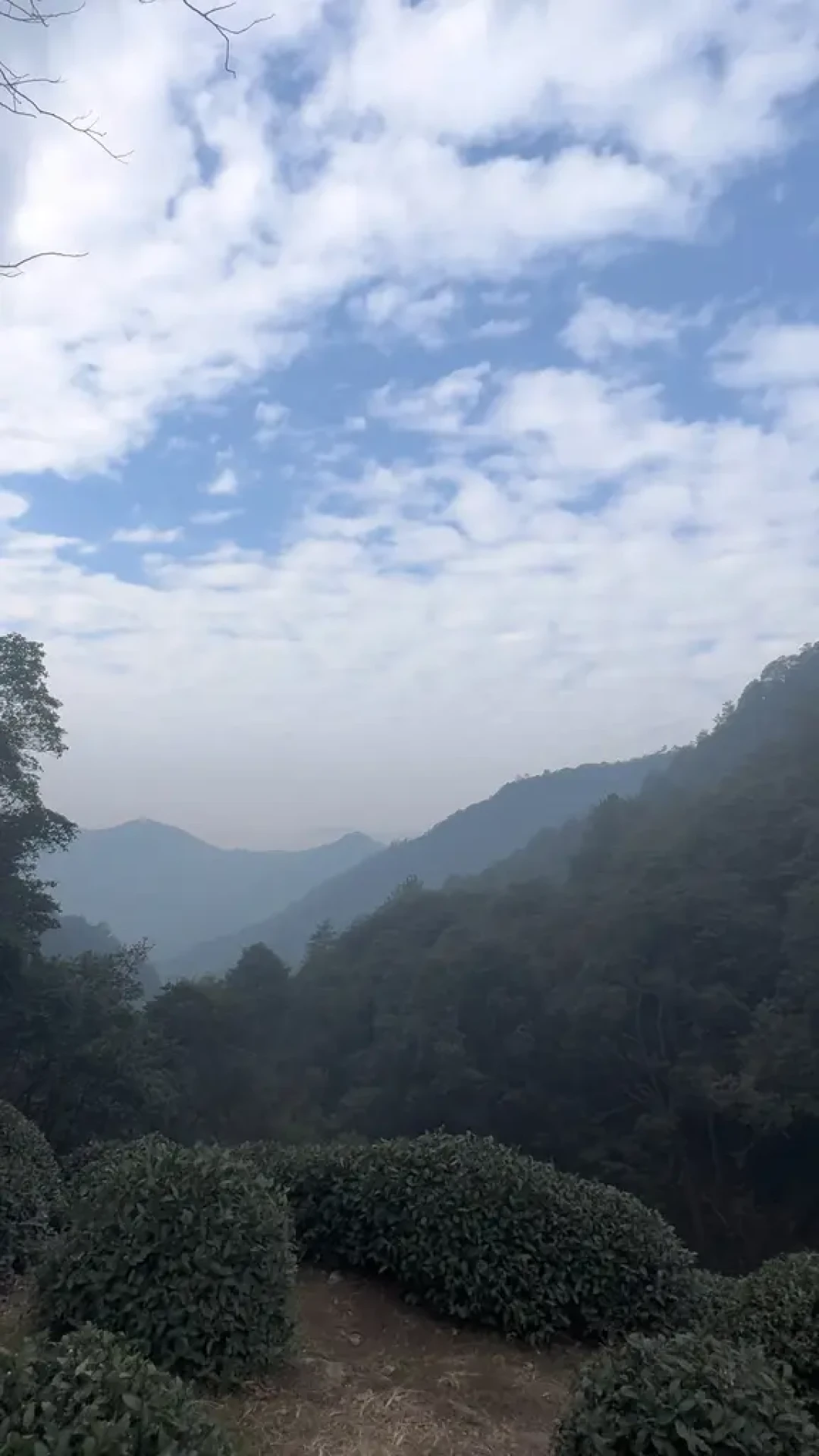 手脚并用爬完1200米,才懂杭州山野的浪漫