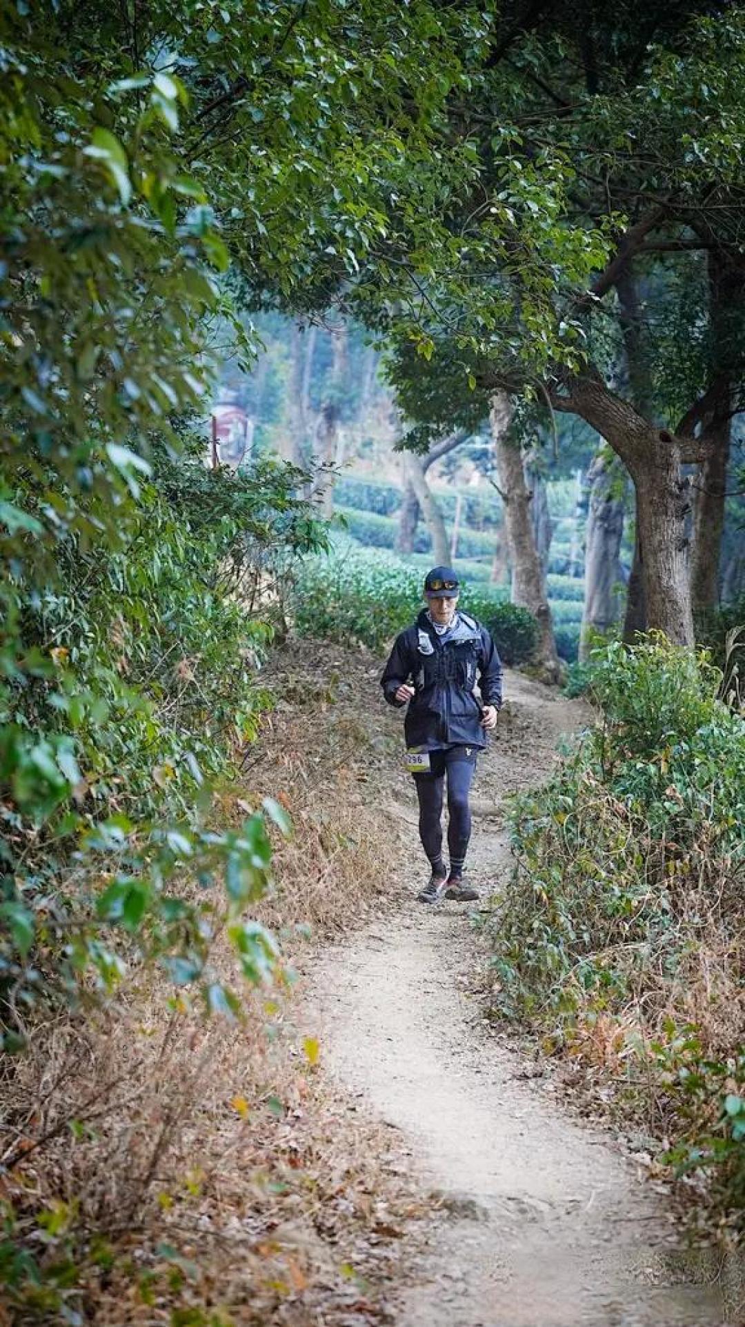 手脚并用爬完1200米,才懂杭州山野的浪漫