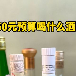 50元预算喝什么酒？