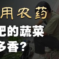 为了明年的蔬菜开始做准备工作啦， 买了 两吨羊粪自己堆最好的有机肥。