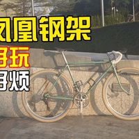 赡养式玩车，老登凤凰钢架出现了哪些问题？