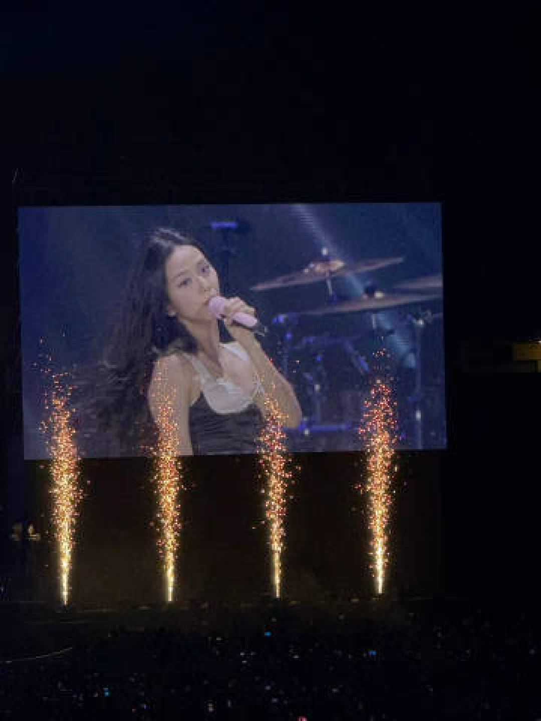 带上粉锤去看BLACKPINK演唱会,这篇超全攻略让你不留遗憾