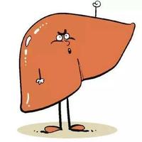 三款古方中成药，逐步改善肝功能