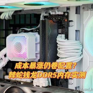 成本暴涨仍卷配置？棘蛇钱龙DDR5海力士A-die实测闭眼冲