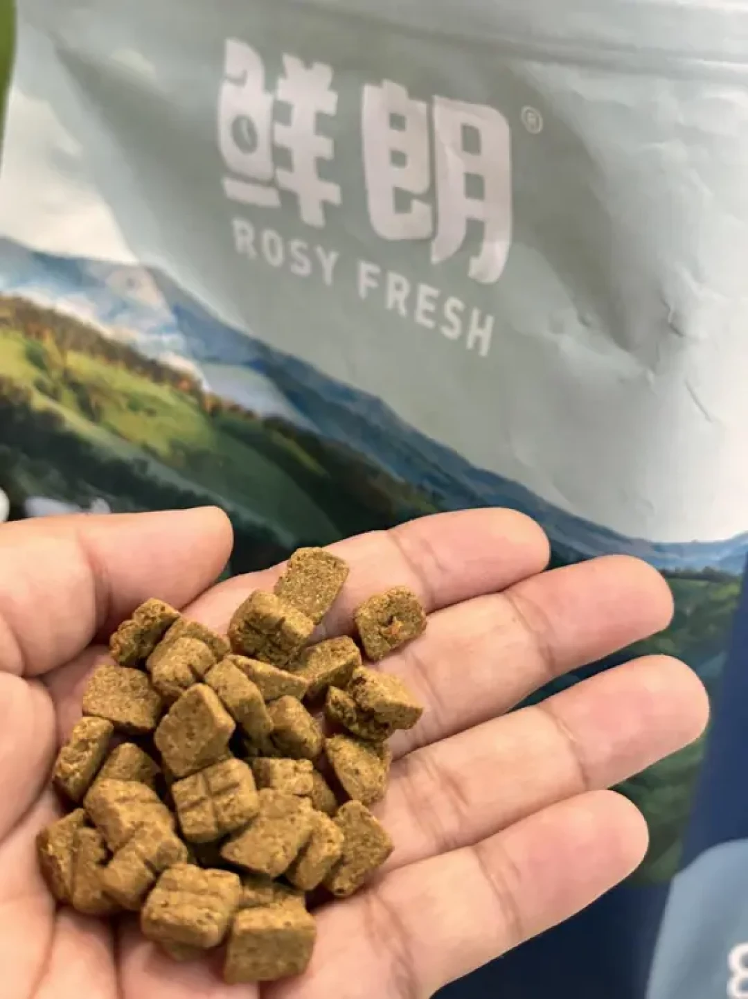 老比熊的坎坷换粮路，从鲜朗到伯纳天纯