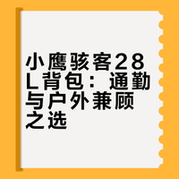 小鹰🦅骇客28l 有点好背