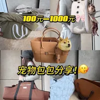 超实用的宠物外出包包分享！！！ #宠物包 #宠物外出包 #腊肠犬
