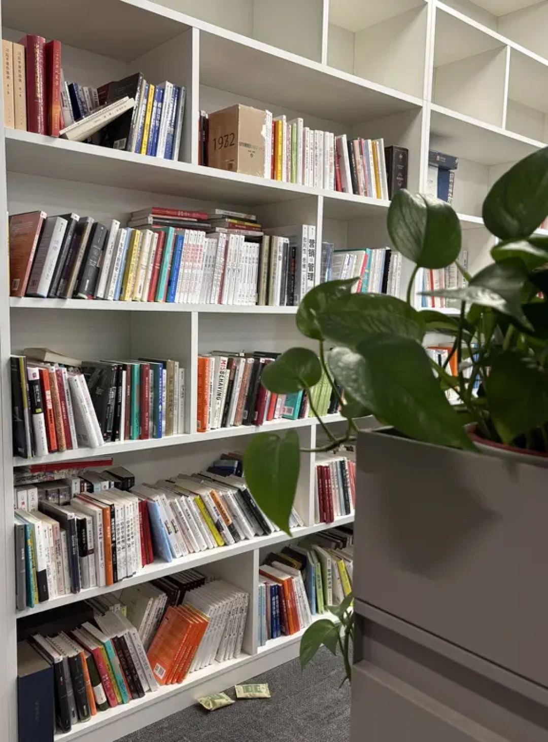 做书人的日常|来看出版社编辑的一天📚