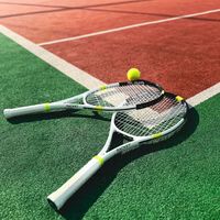 职业选手同款球拍该买吗？582+用户观点大PK