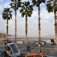 宁波遛娃｜东钱湖亲子骑行🚴‍♂️（攻略版）