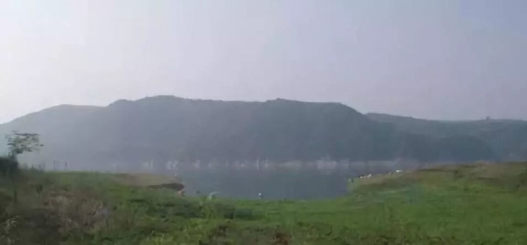 “鲤鱼钓凸,鲫鱼钓凹”,野钓鲤鱼的7个好钓点
