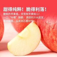 东方甄选洛川苹果🔥年货必入！黄土高原的脆甜