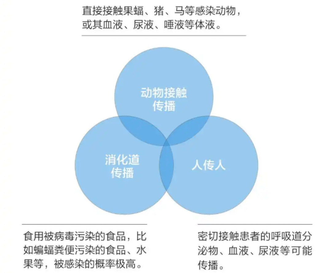 印度尼帕病毒点燃IVD“一日狂欢”:短炒退潮后,赛道真需求在哪?丨行业风向标