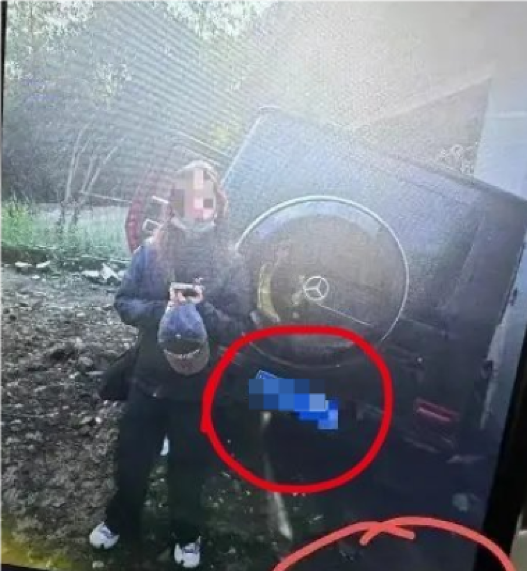 金晨道歉交通事故助理顶包：事发突然情绪紧张 助理主动担责驾驶人