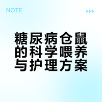 糖尿病鼠吃什么（个人分享）