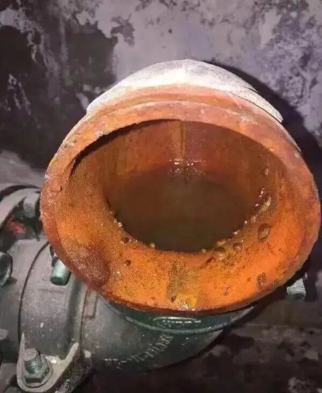 自来水真有必要装净水器?老师傅一句大实话,给大家提了个醒