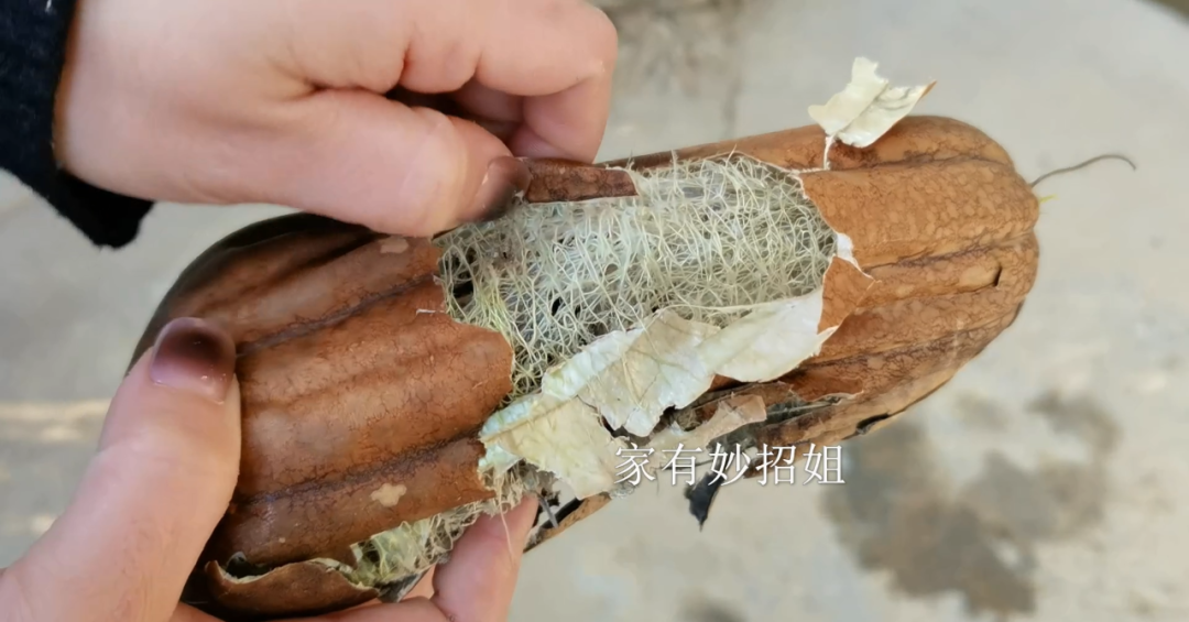 超实用!95%的人拿它当“洗碗布“,却不知它浑身是宝!