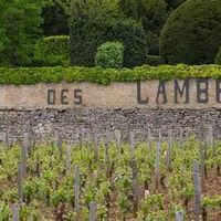 独占一级园珍酿——‘Les Loups’完美展现了Morey-Saint-Denis村优雅与力量交织的典范风格，2020年份赋予了其迷人而深邃的成熟魅力。