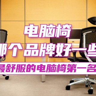 电脑椅哪个品牌好一些？最舒服的电脑椅第一名