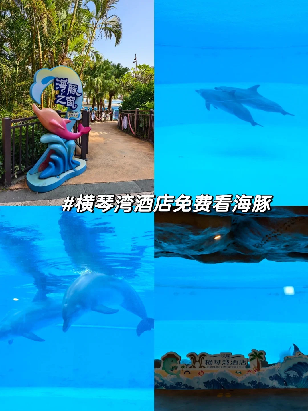 寒假亲子游🐳珠海长隆三天两晚轻松游攻略