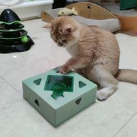 FOFOS两只福狸逗猫魔盒｜猫主子自嗨一整天不拆家