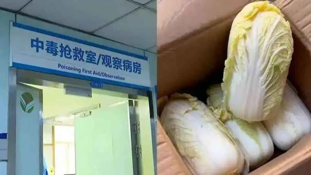 网购娃娃菜致全身出血?警方调查已锁定毒源:旧报纸包装惹的祸;娃娃菜鼠药非田间喷施