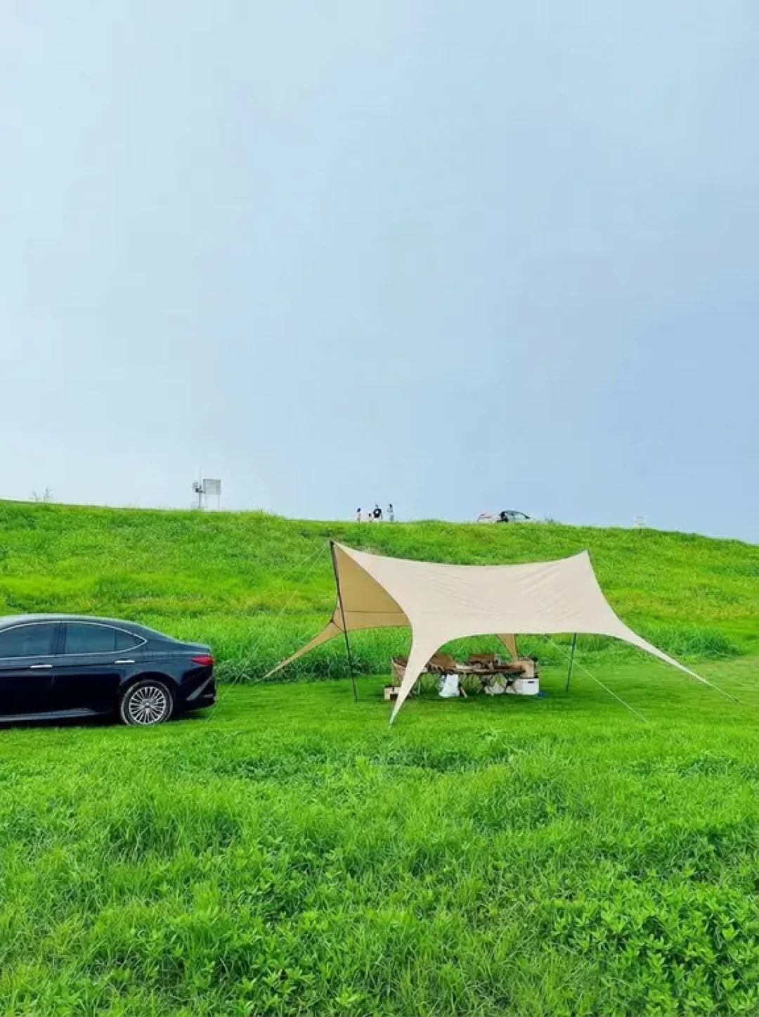 沿江草坪露营全攻略!车能到帐篷边🚗⛺️
