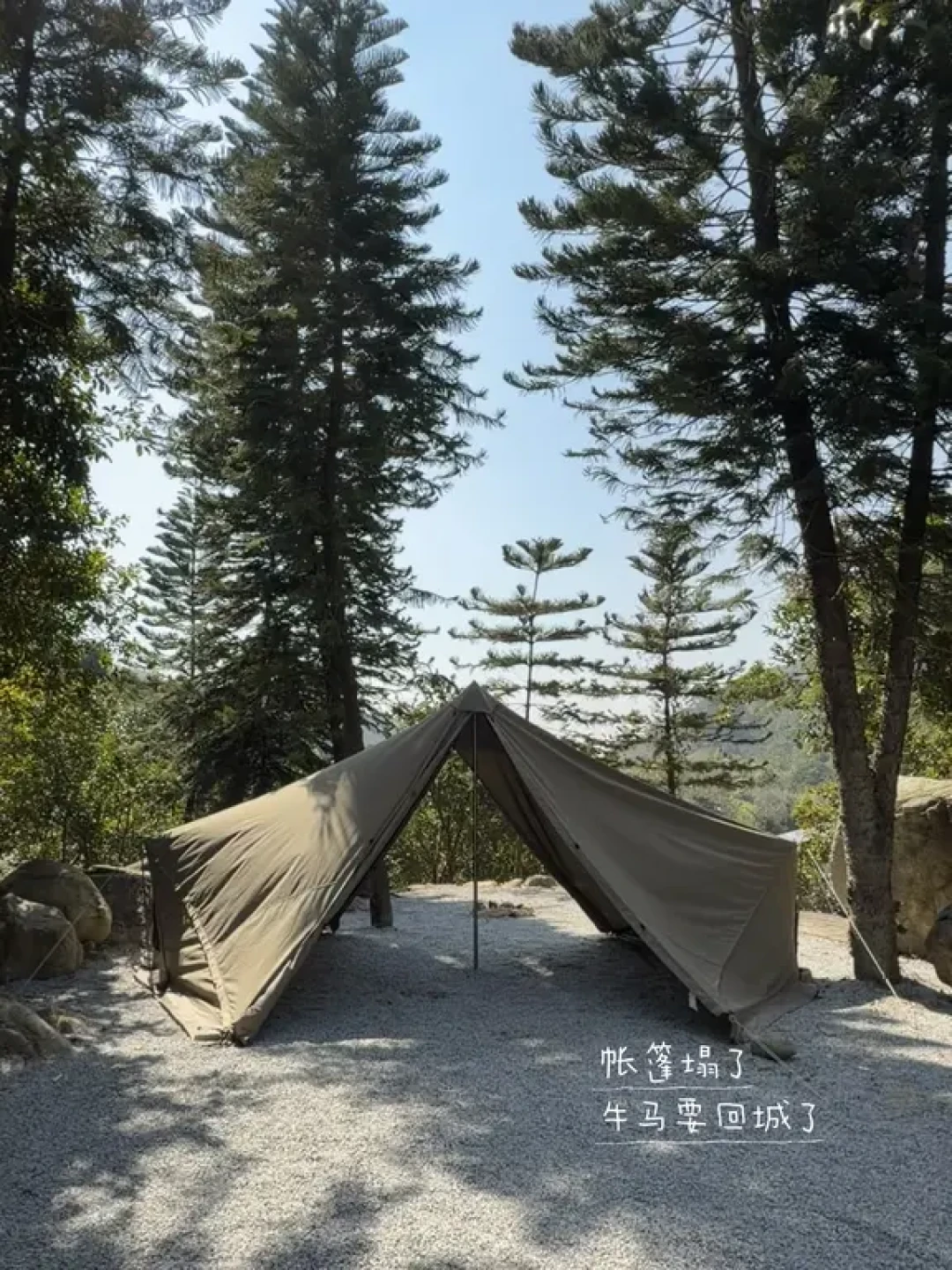 喜欢,想要,享受