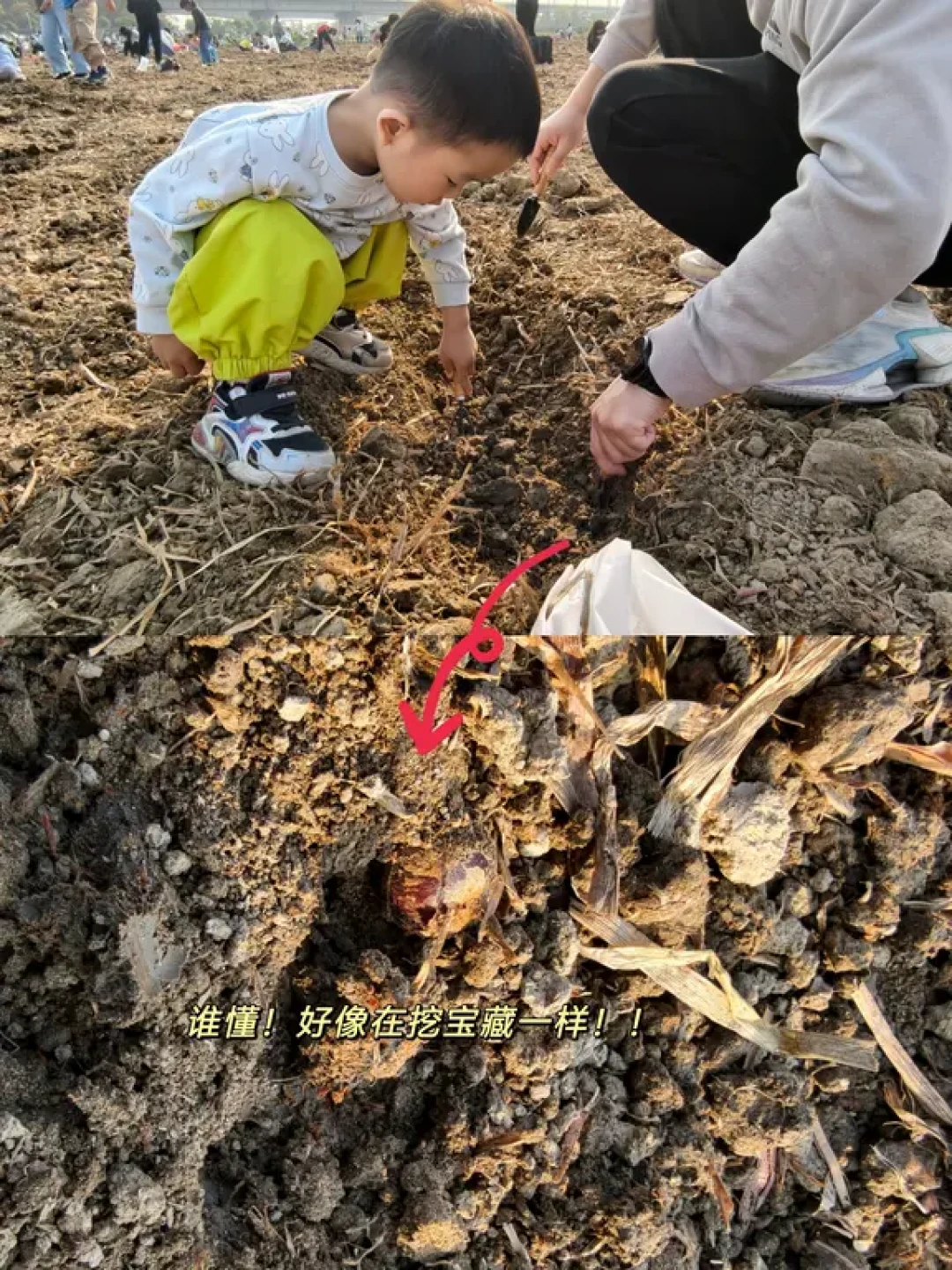 白云区一日游的B面:不逛商场,去做小矿工