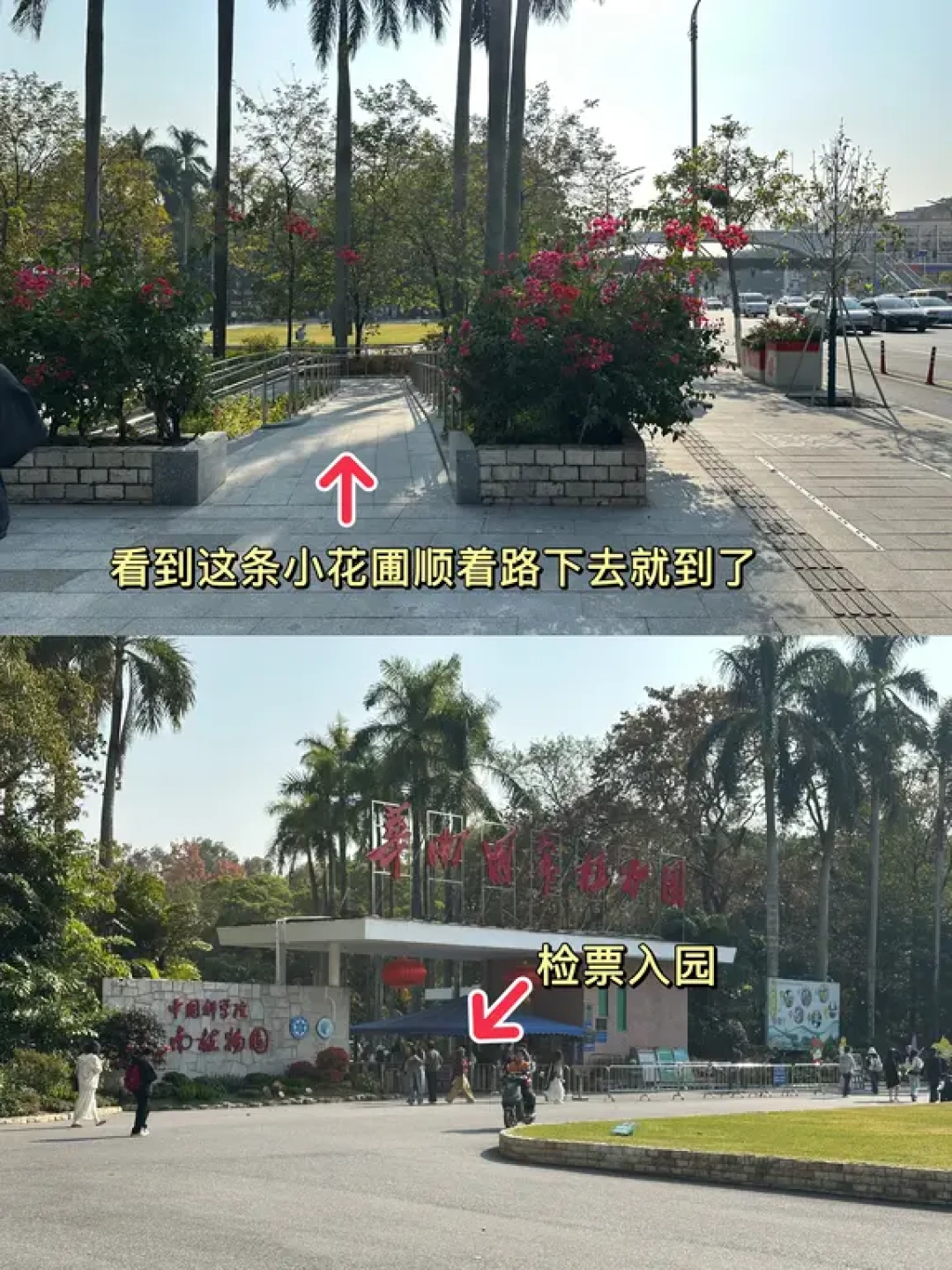 广州|华南植物园-1月份的温室群景区 1.12
