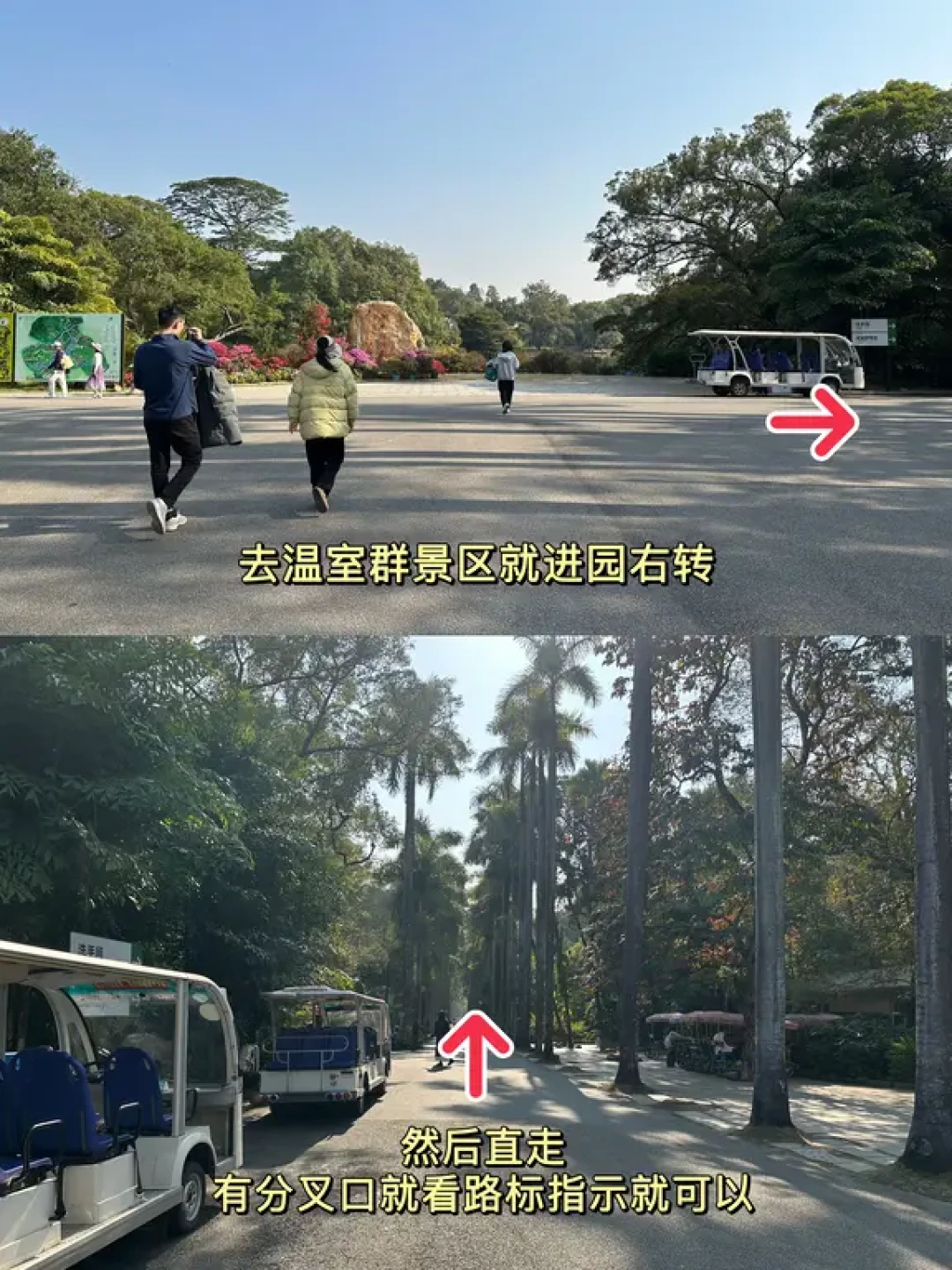 广州|华南植物园-1月份的温室群景区 1.12