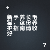 新手养长毛猫，别被“毛”吓到！