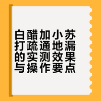 🇸🇬厨房地漏疏通日记