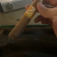 大卫2000最强替代品-季诺罗布图