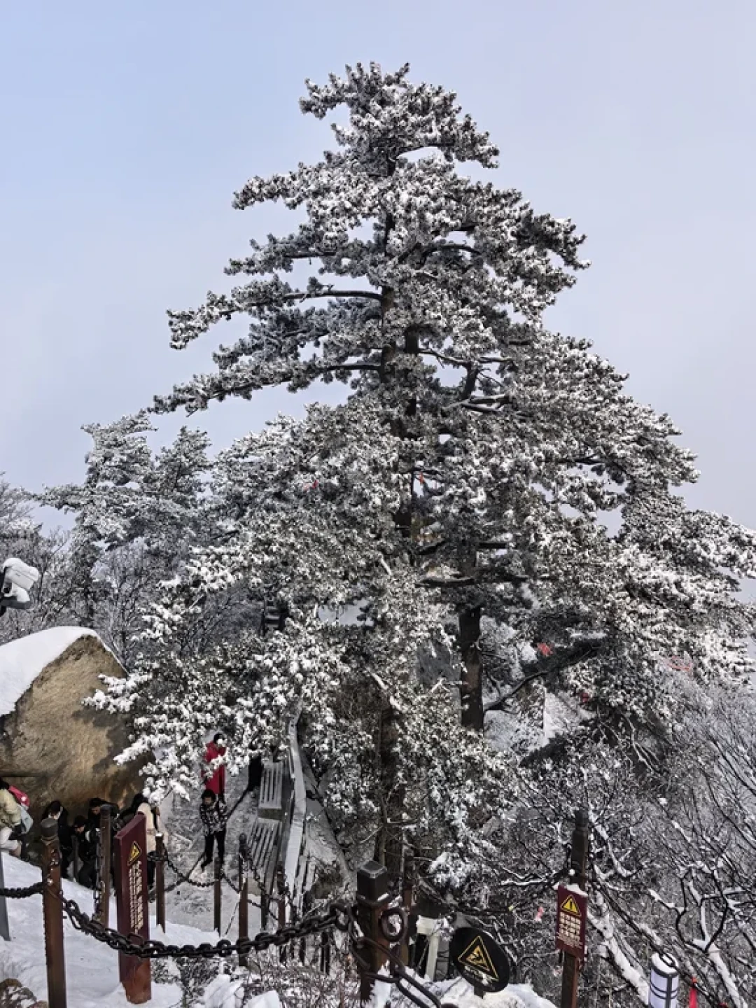 白银世界❄ 2026年新年第一天的华山🗻