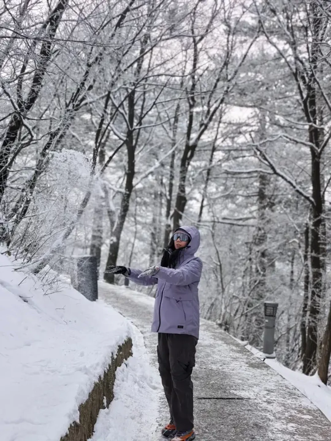 白银世界❄ 2026年新年第一天的华山🗻
